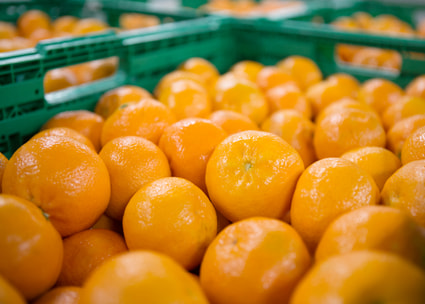 Orangen in Kisten